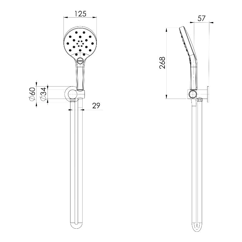 Phoenix Ormond Hand Shower - Brushed Carbon