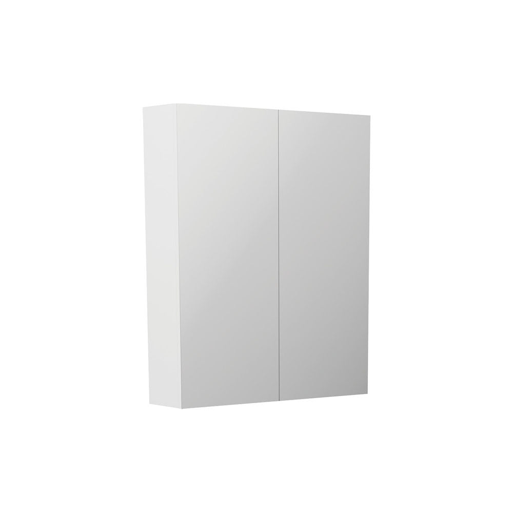 Fienza 600 Pencil Edge Mirror Cabinet