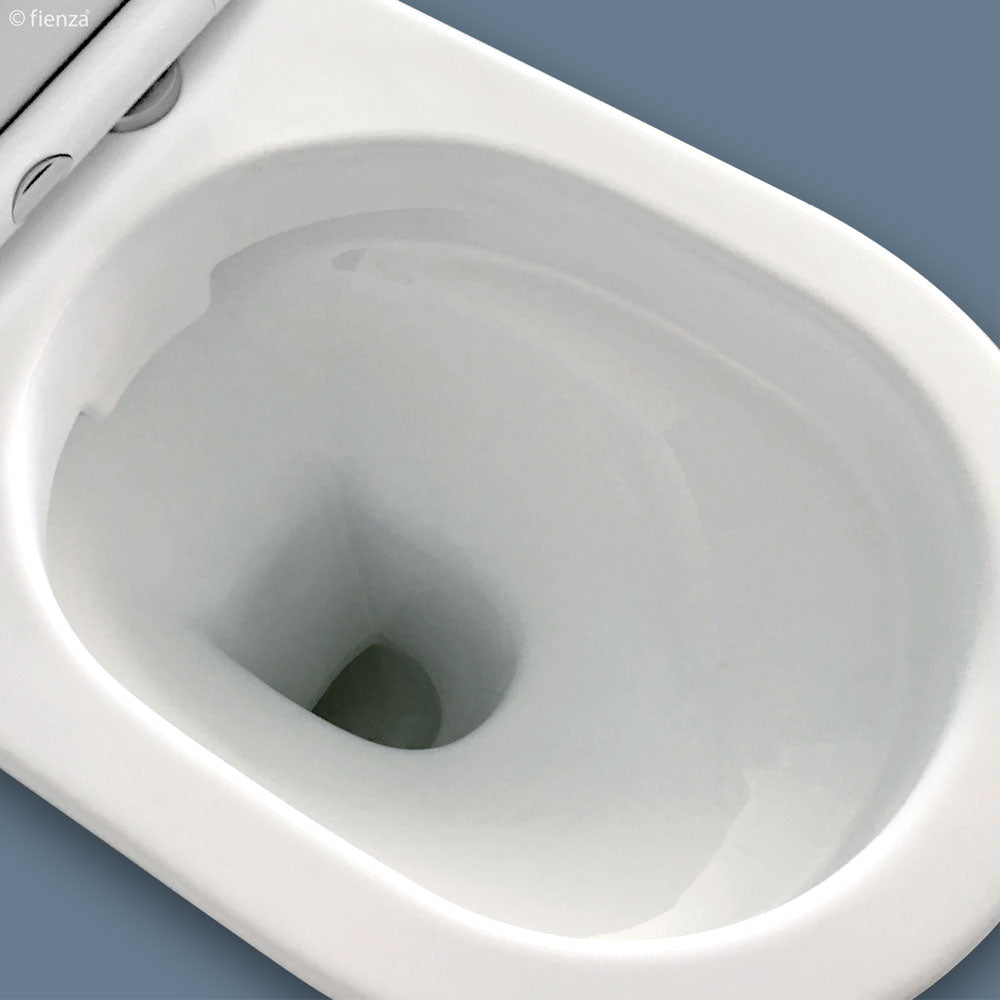 Fienza Delta Back-to-Wall Toilet Suite