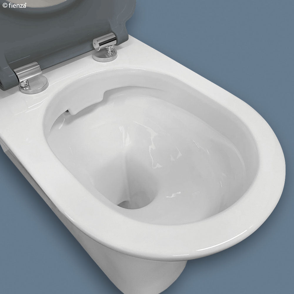 Fienza Delta Care Back-to-Wall Toilet Suite - Grey Seat