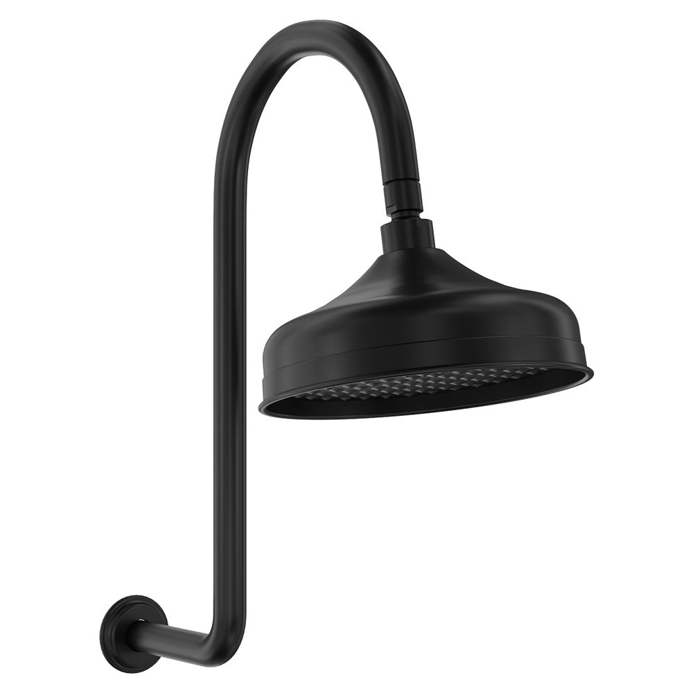 Fienza Lillian Wall Arm Shower Set - Matte Black