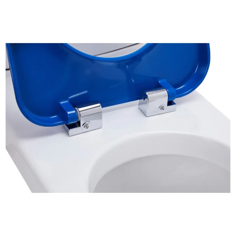 Johnson Suisse Life Assist Rimless Back to Wall Toilet Suite