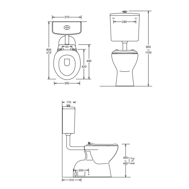 Johnson Suisse Plaza Deluxe Assist Toilet Suite